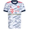 Original Fußballtrikot FC Bayern München Ausweichtrikot 2021-22 Für Herren